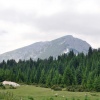 Гора Савин Кук (2313 м)