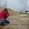 Про ёжиков в тумане черногорского парка Ловчен и Котор с высоты...