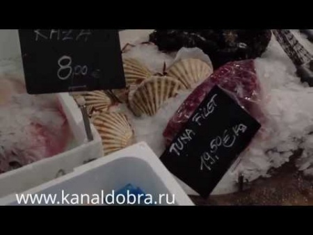 Черногорские Морепродукты и ВИНО =FISH market COGI= Видео