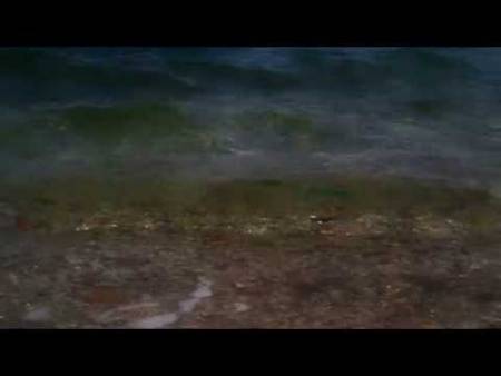 Герцег Нови. Чистейший пляж Адриатического моря Видео